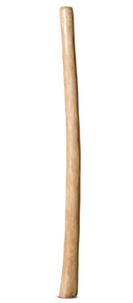 Medium Size Natural Finish Didgeridoo (TW1285)